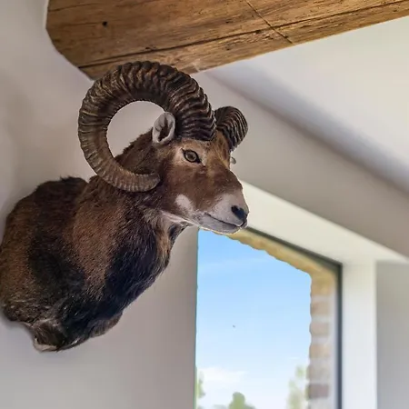 Hoeve De Zuidhoek Hébergement de vacances