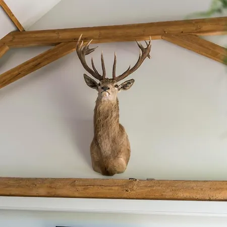Holiday home Hoeve De Zuidhoek Bruges
