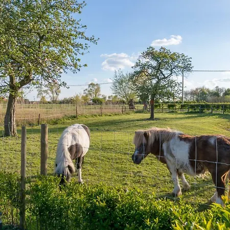 Hébergement de vacances Hoeve De Zuidhoek *